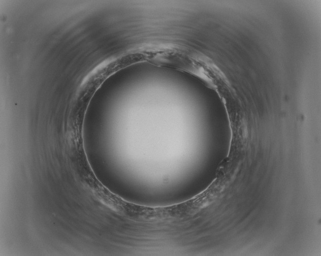 X0000080720920200612151155