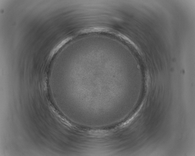 X0000080720921200612151155