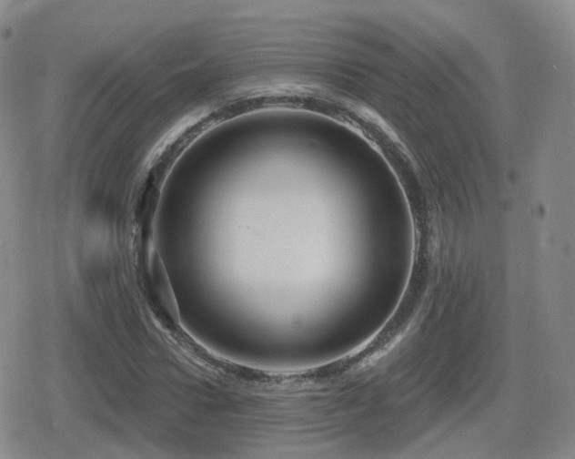 X0000080720922200612151155