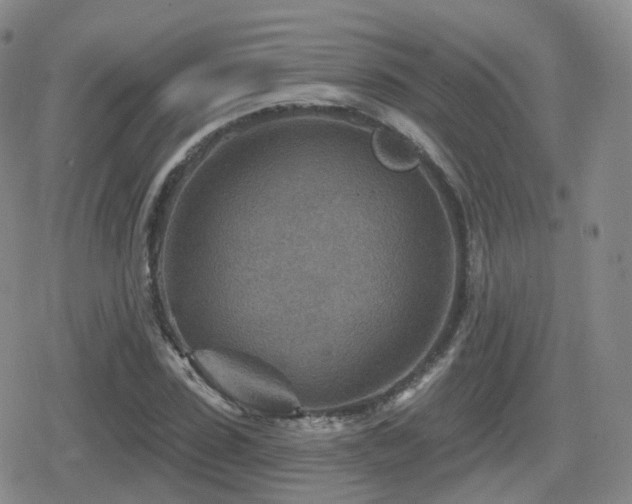 X0000080720923200612151155