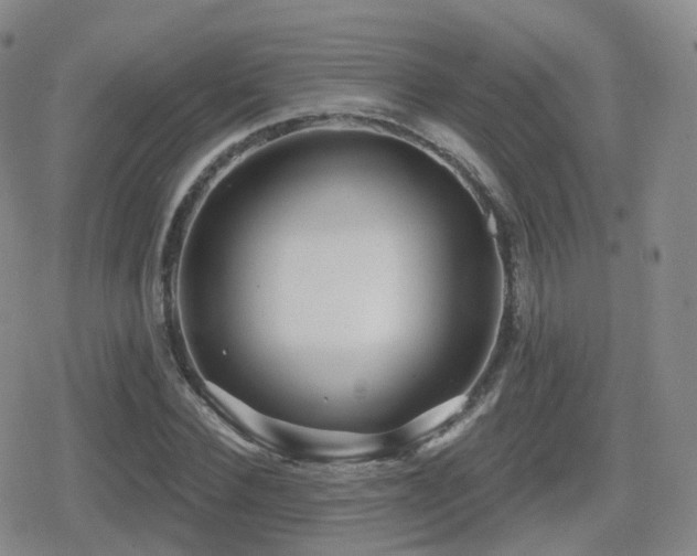 X0000080720924200612151155