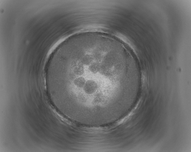 X0000080720925200612151155