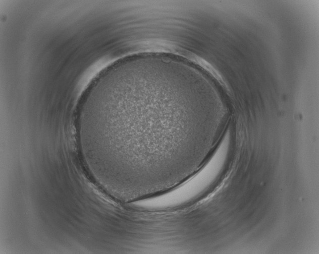 X0000080720926200612151155