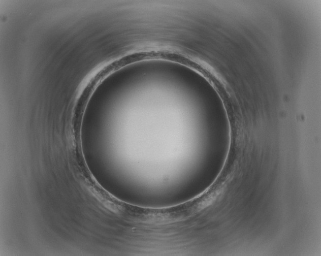 X0000080720927200612151155