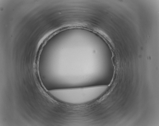 X0000080720928200612151155