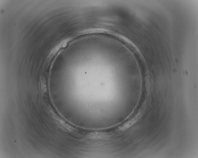 X0000080720929200612151155