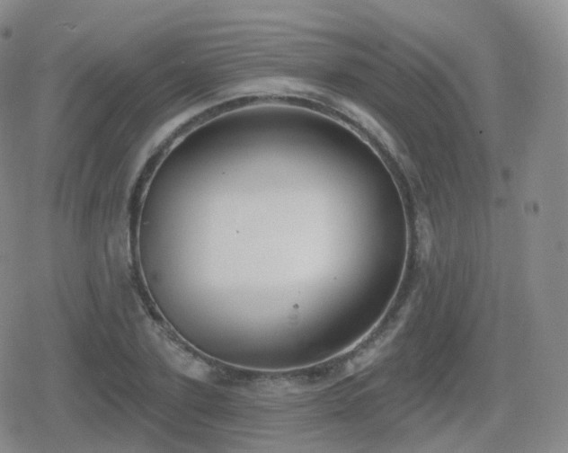 X0000080720931200612151155