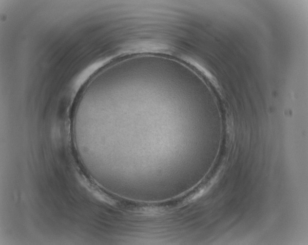 X0000080720933200612151155