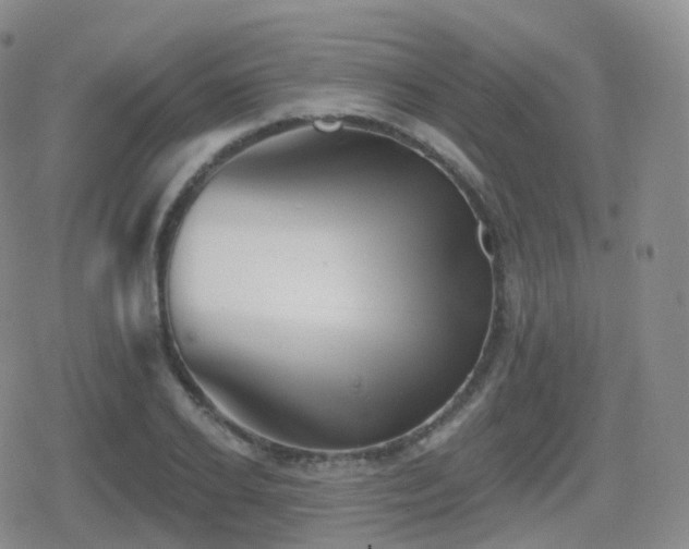 X0000080720934200612151155