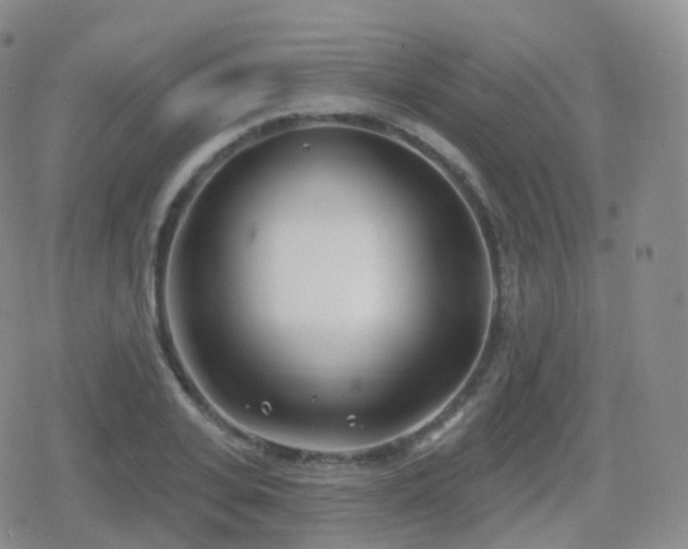 X0000080720935200612151155