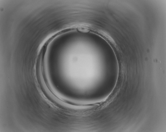 X0000080720936200612151155