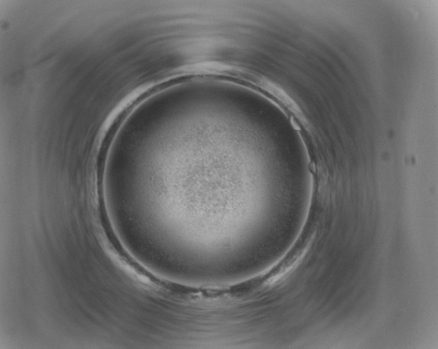 X0000080720939200612151155