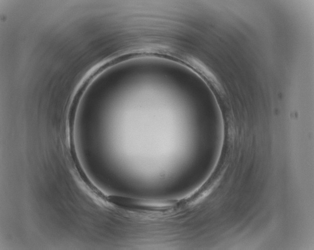 X0000080720940200612151155