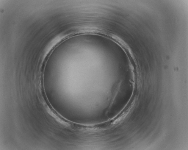 X0000080720941200612151155