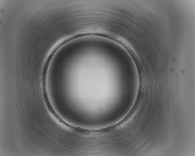 X0000080720942200612151155