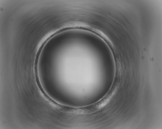 X0000080720943200612151155