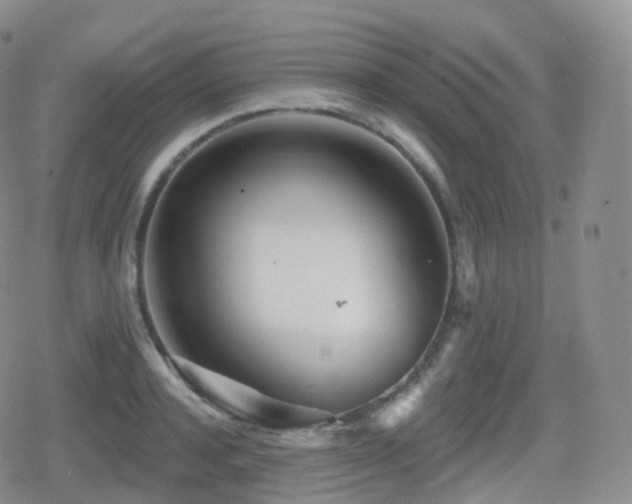 X0000080720944200612151155