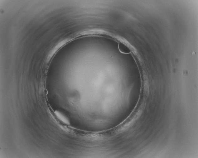 X0000080720945200612151155