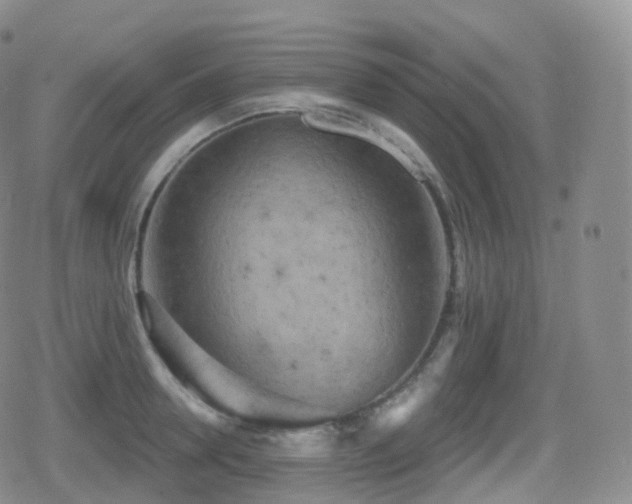 X0000080720946200612151155