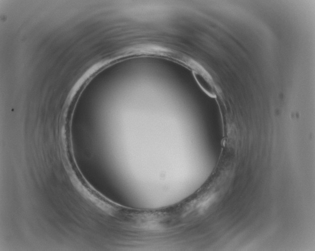 X0000080720947200612151155