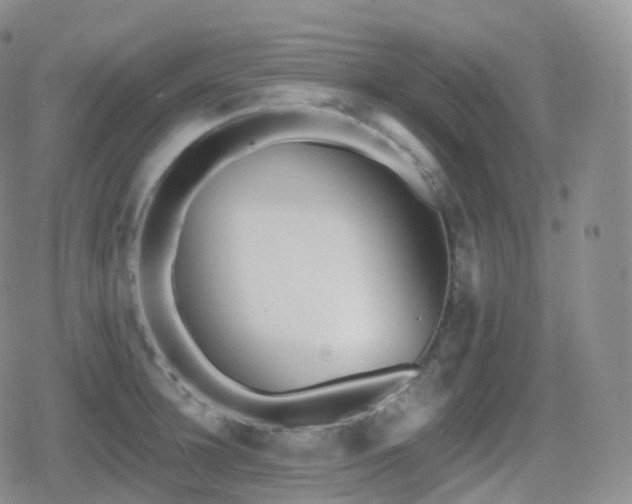 X0000080720948200612151155