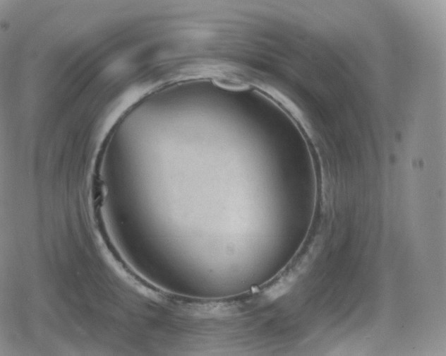 X0000080720949200612151155