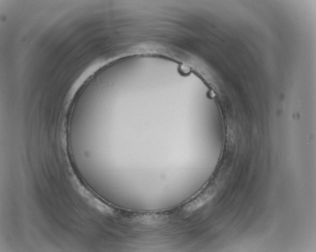 X0000080720950200612151155