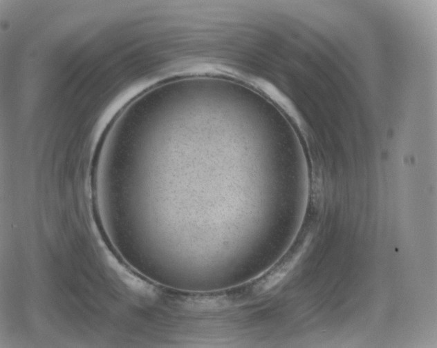 X0000080720951200612151155