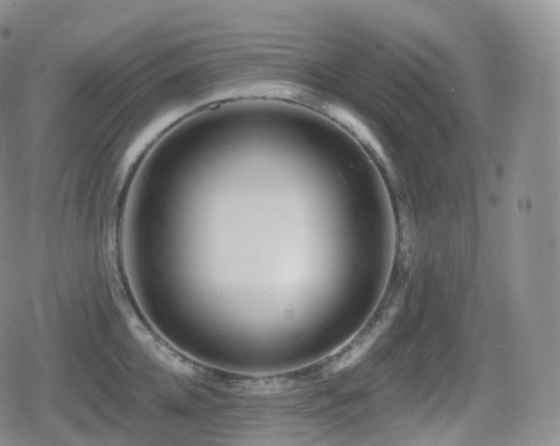 X0000080720952200612151155