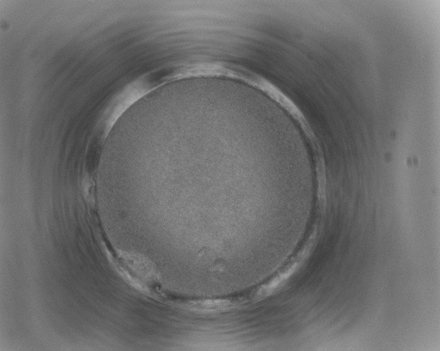 X0000080720953200612151155