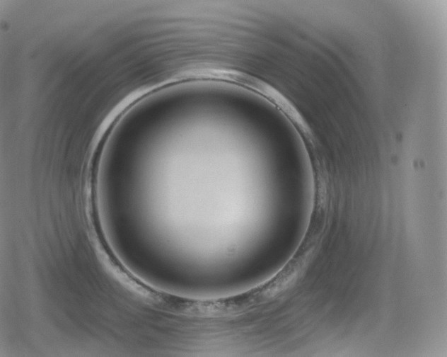 X0000080720955200612151155