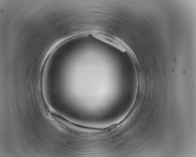 X0000080720956200612151155