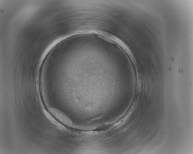 X0000080720958200612151155