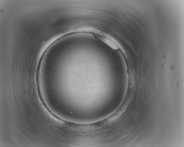 X0000080720959200612151155