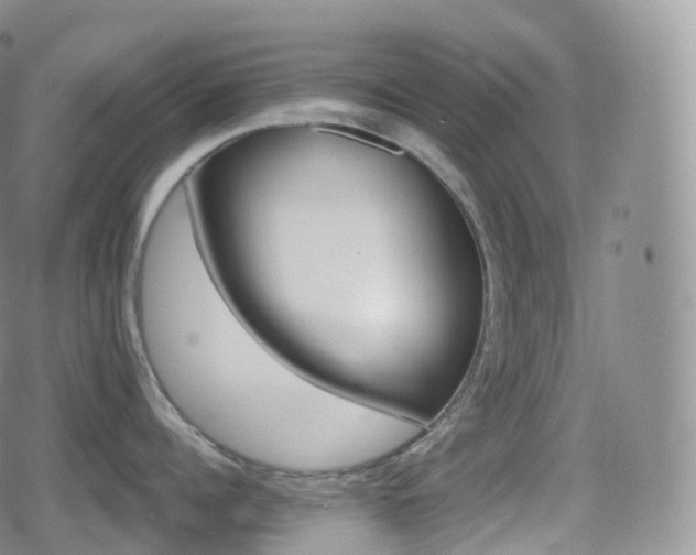 X0000080720960200612151155