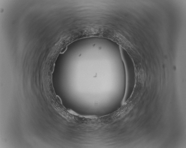 X0000080720961200612151155