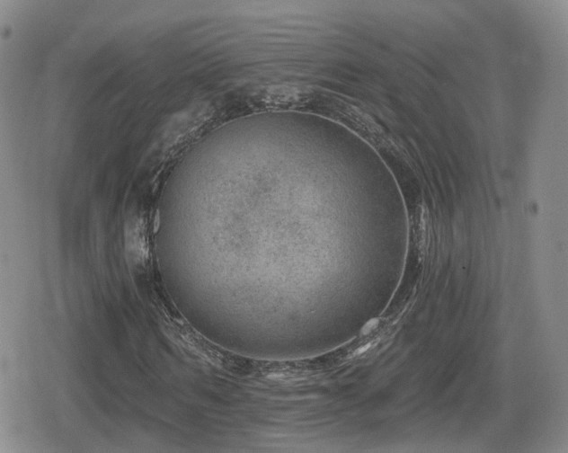 X0000080720962200612151155