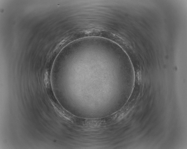 X0000080720963200612151155