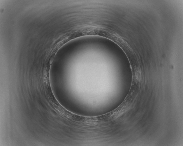 X0000080720964200612151155