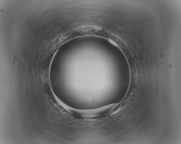 X0000080720965200612151155