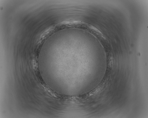 X0000080720966200612151155