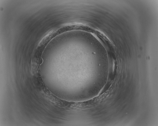 X0000080720967200612151155