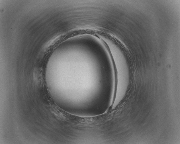 X0000080720968200612151155