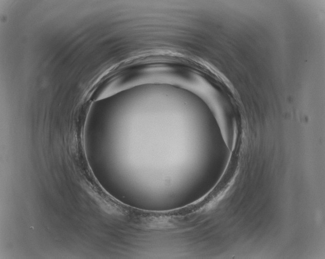 X0000080720969200612151155