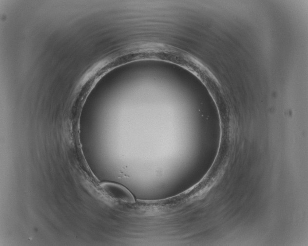 X0000080720970200612151155