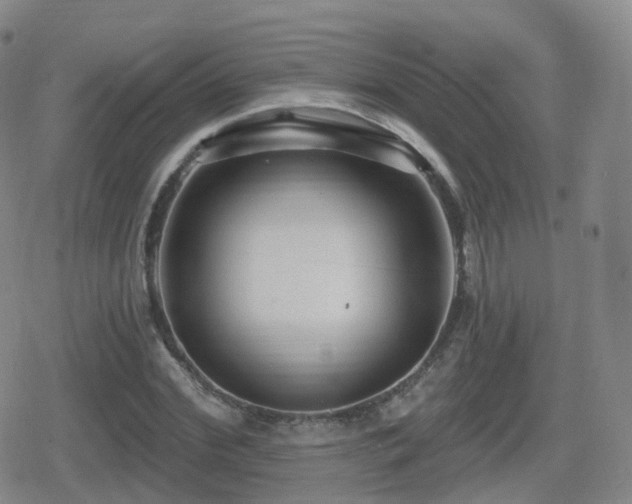 X0000080720972200612151155