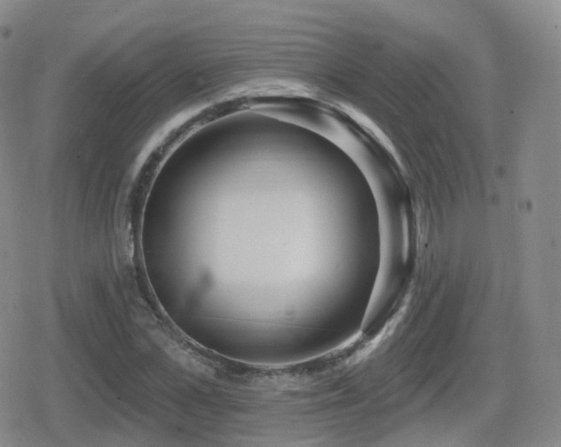 X0000080720973200612151155