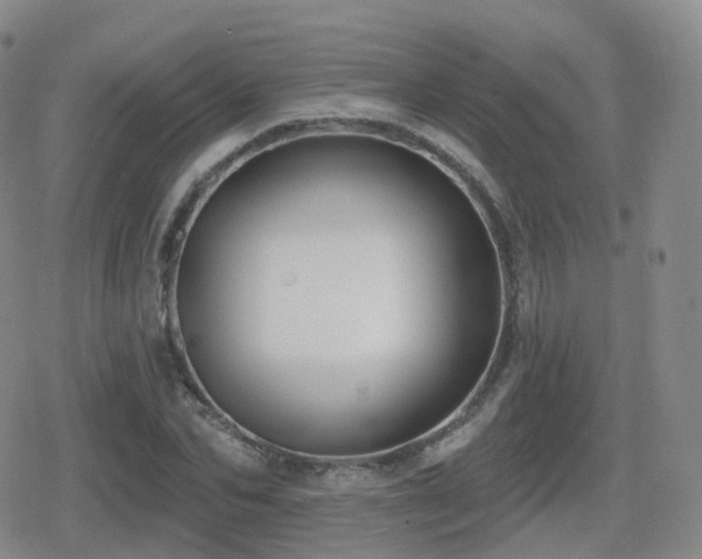 X0000080720974200612151155