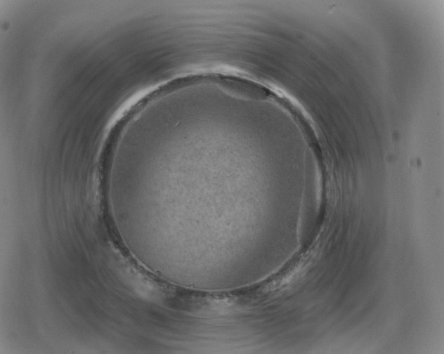 X0000080720975200612151154