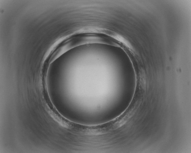 X0000080720976200612151154